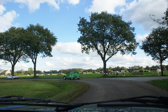 DSC04557