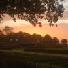 101